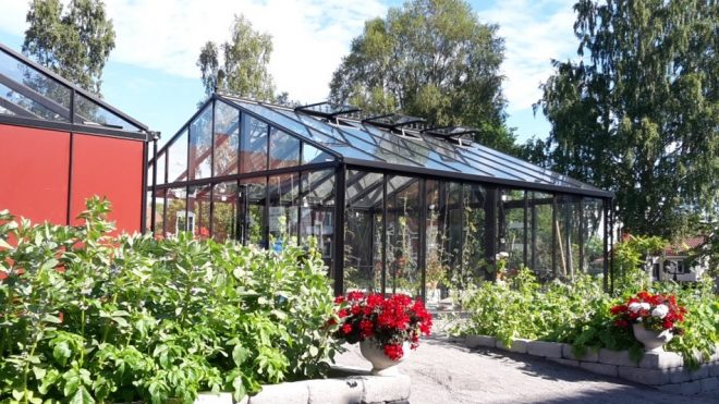 växthus i Burträsk